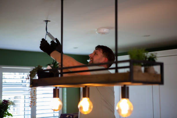 Best Electric Panel Repair  in Lonsdale, MN